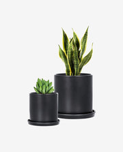 Diamond Halo Stud Donec