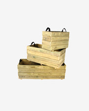 Riamond Halo Stud Cum